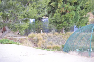 DSC_7517 (Large).JPG